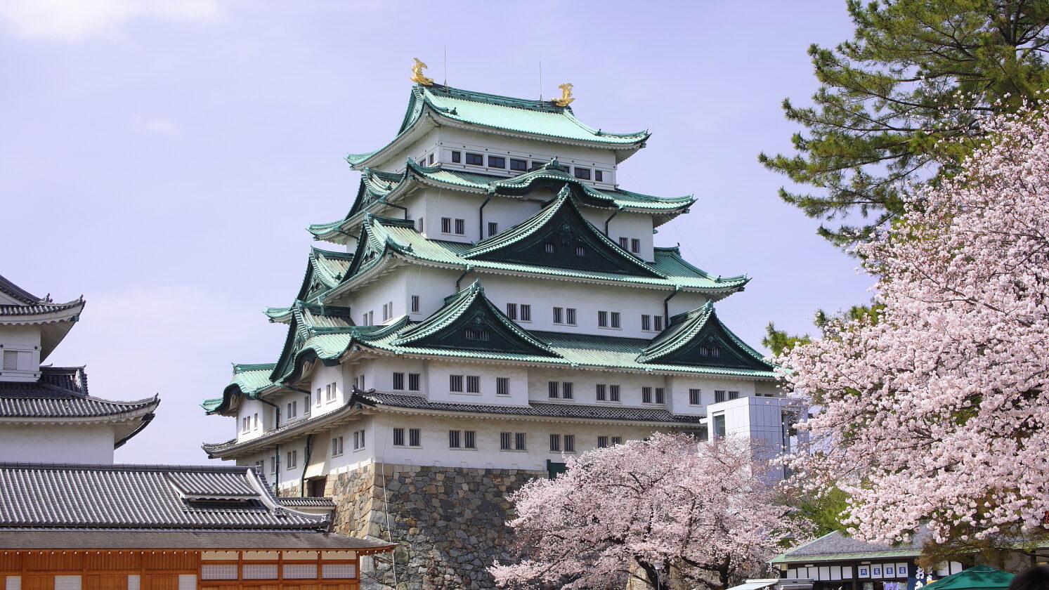 Tomio344456, CC BY-SA 4.0 via Wikimedia Commons