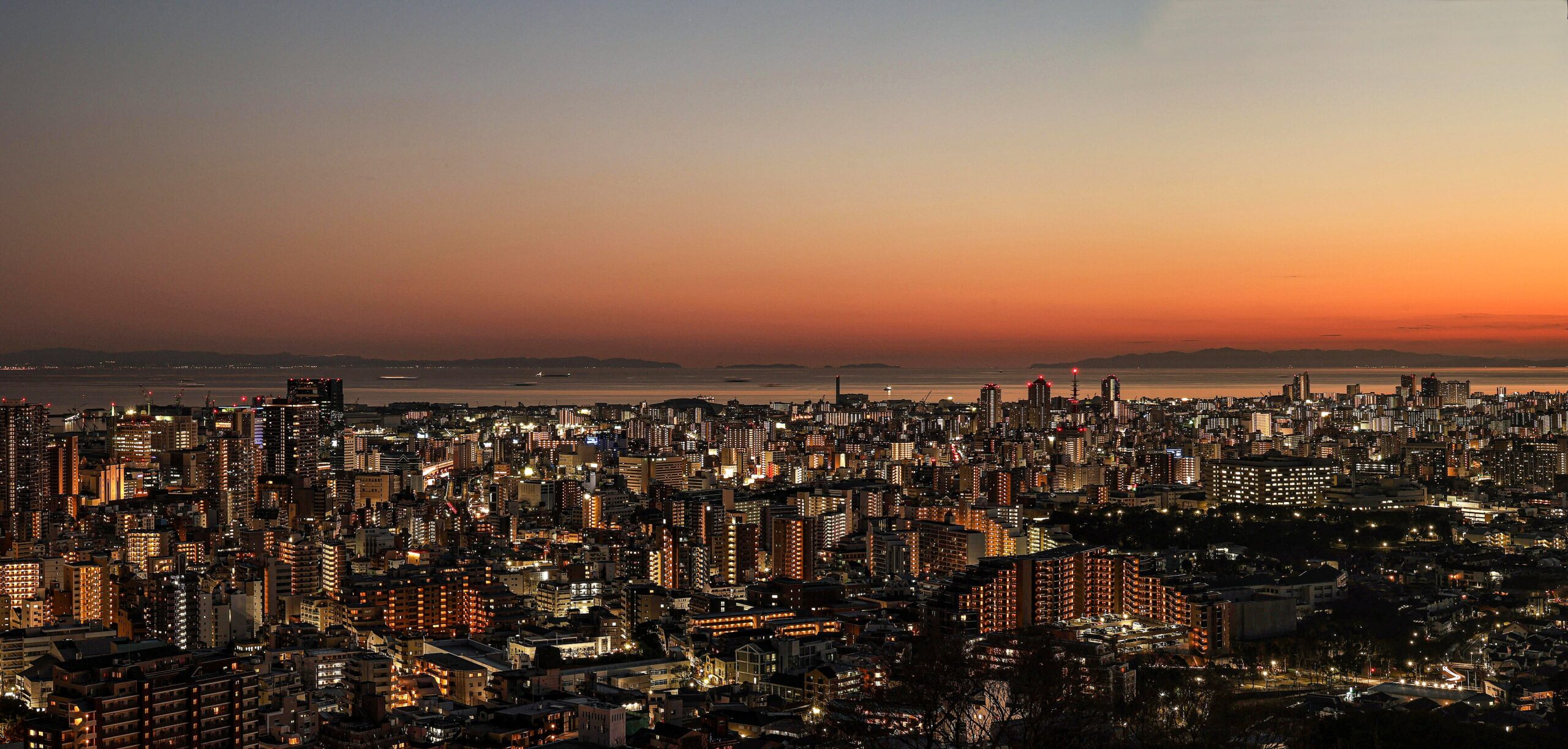 Naokijp, CC BY-SA 4.0 , via Wikimedia Commons