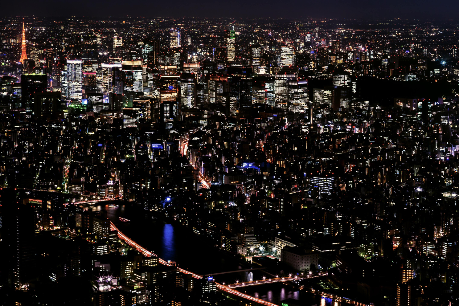 Tokyo Midnight Icons Tour | Private Night Drive